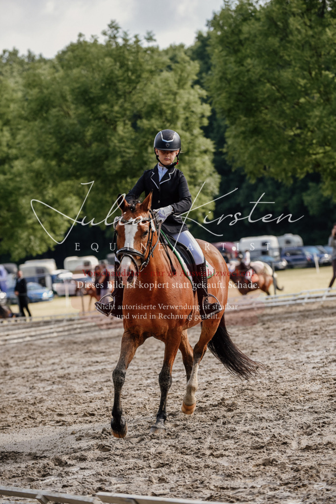 DSC_9144 | Pferde- und Turnierfotografie in Westsachsen. Pferdeportraits, Auftragszeichnungen und intuitive Kunst.