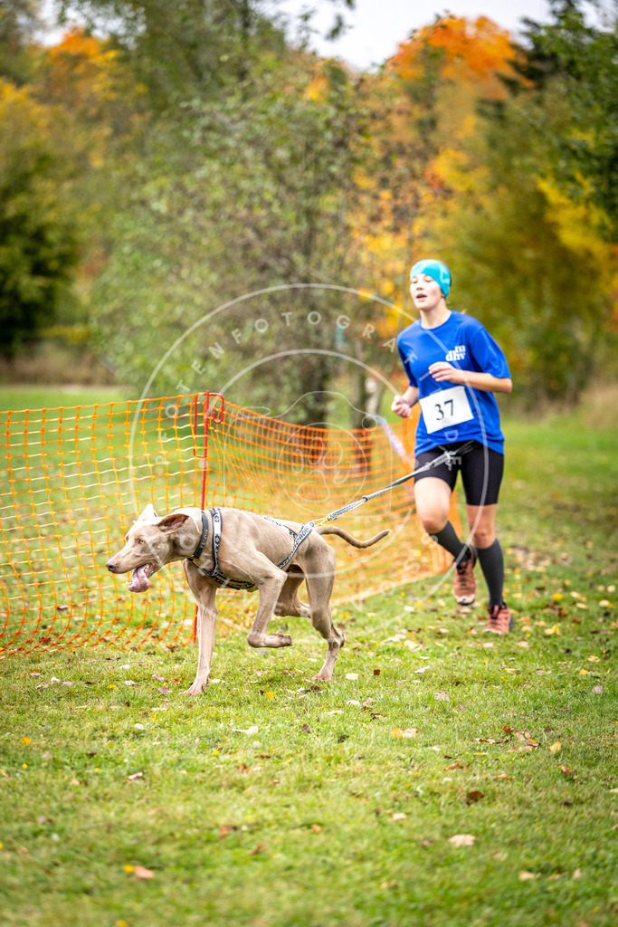 Pfotenfotografie_DV3A2172 | Hundefotografie, Tierfotograf, Pfotenfotografie, Fotoshooting Hund, Hunde Portrait, Hundesport, Hundeportraits, Heideshooting, Hunde, Sportfotograf, Hundefotograf, Turnierhundsport, THS,  - Realisiert mit Pictrs.com