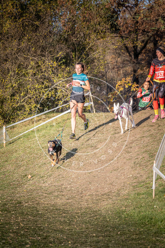 CaniXpix_0L8A9917 | Hundefotografie, Tierfotograf, Pfotenfotografie, Fotoshooting Hund, Hunde Portrait, Hundesport, Hundeportraits, Heideshooting, Hunde, Sportfotograf, Hundefotograf, Turnierhundsport, THS,  - Realisiert mit Pictrs.com