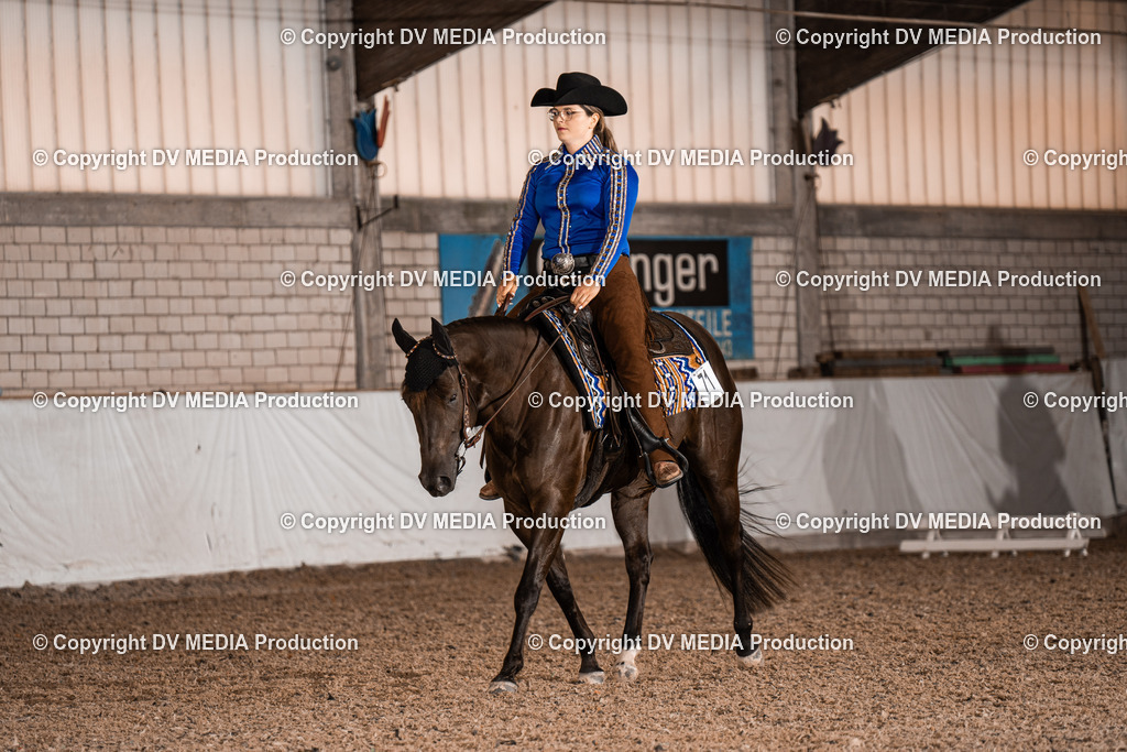 ZH100083 | dv-media-shop - Realisiert mit Pictrs.com