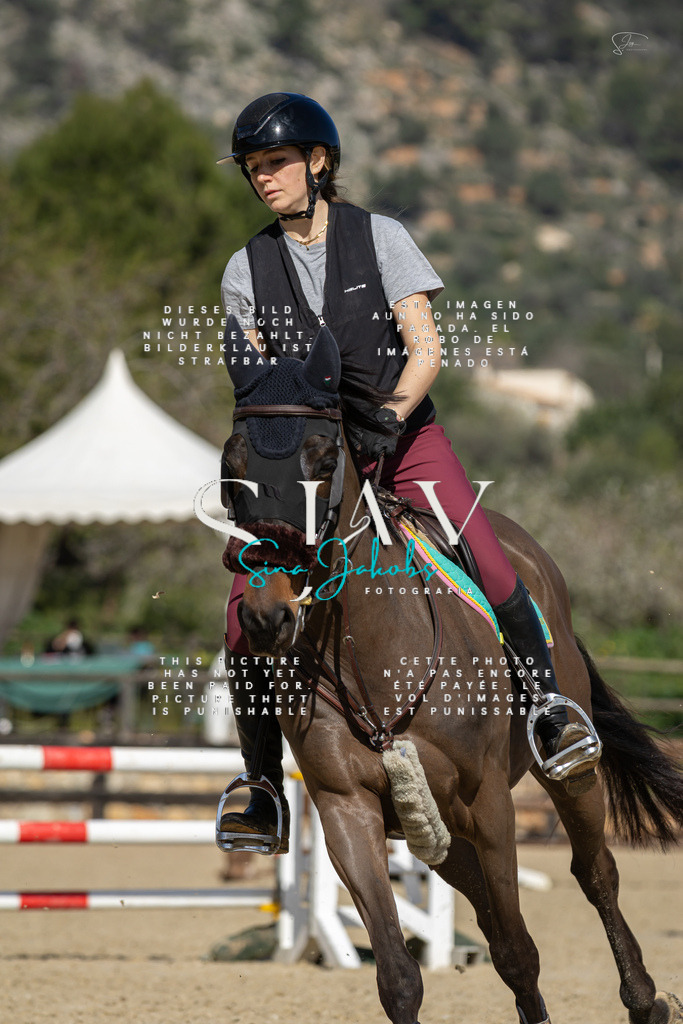 IMG_6567 | s-jay-photography - Realisiert mit Pictrs.com