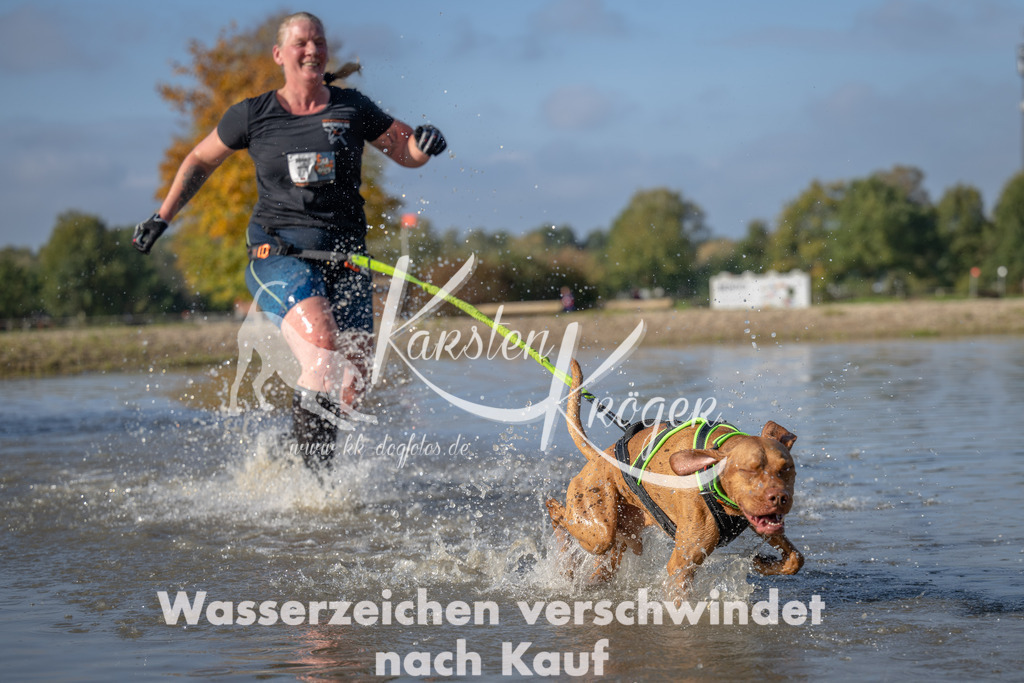 1119_ZZ92363 | kk-dogfotos
