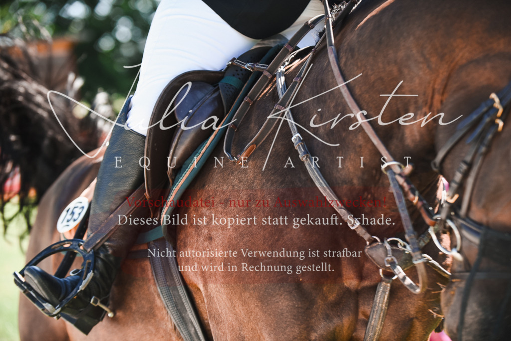 DSC_2531 | Pferde- und Turnierfotografie in Westsachsen. Pferdeportraits, Auftragszeichnungen und intuitive Kunst.