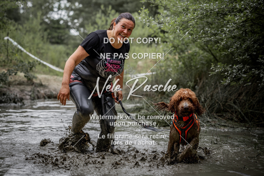 nelerasche_so0800-0930_511 | nelerasche