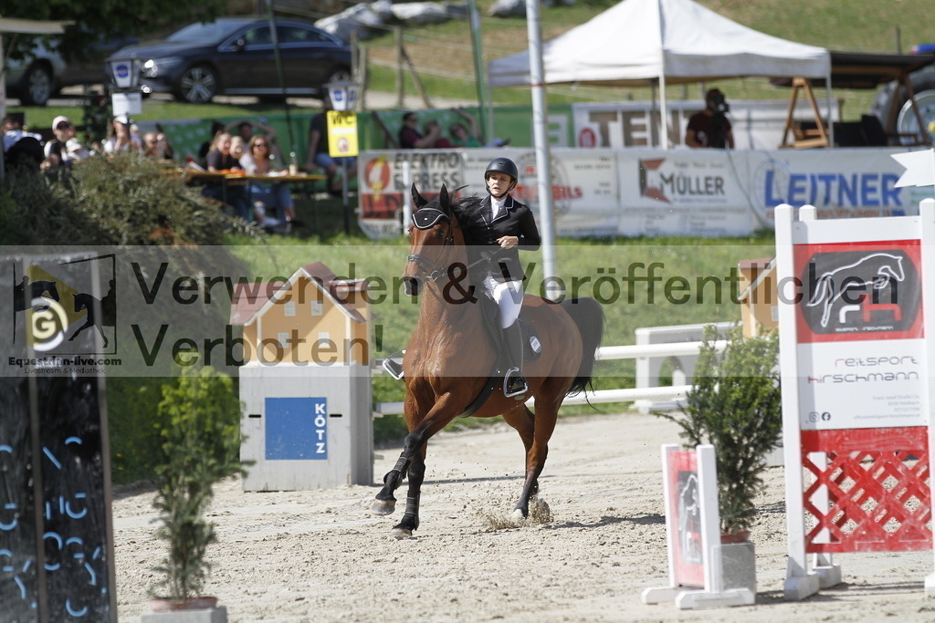 _MG_0482 | equestrian-live-com