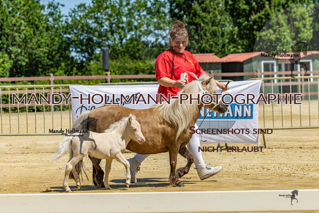 FS WST 26 (17 von 1143) | mandyhollmannphotographie