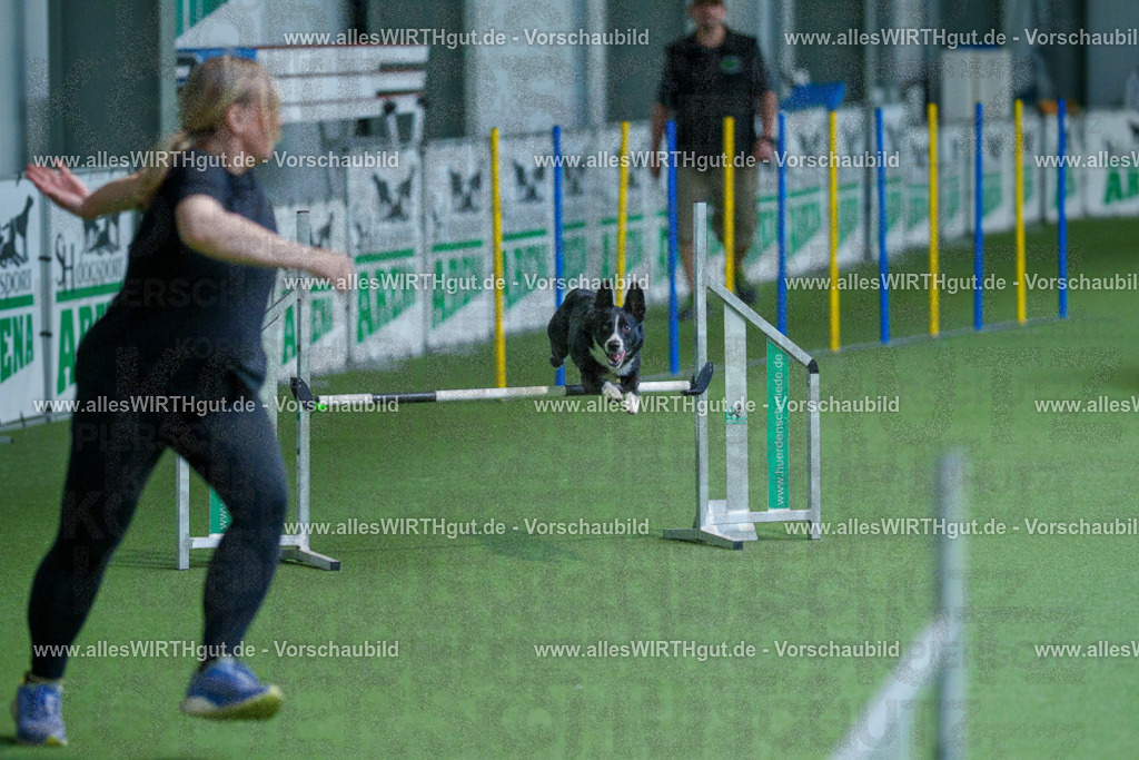 @allesWIRTHgut_Tierfotografie - www.allesWIRTHgut.de - 2604261510-7R504768 | Professionelle Tierfotografie in Mönchengladbach von Daniel Wirth (allesWIRTHgut). Liebevolle & natürliche Bilder von Hunden & Katzen für unvergessliche Erinnerungen.