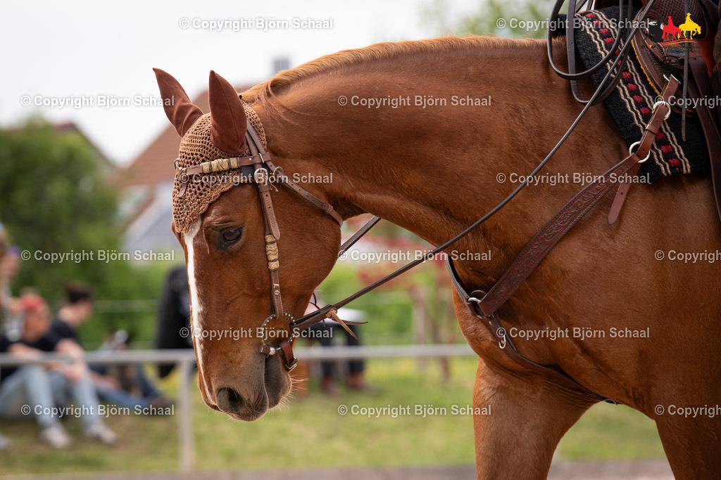LMB09651 | BS-foto