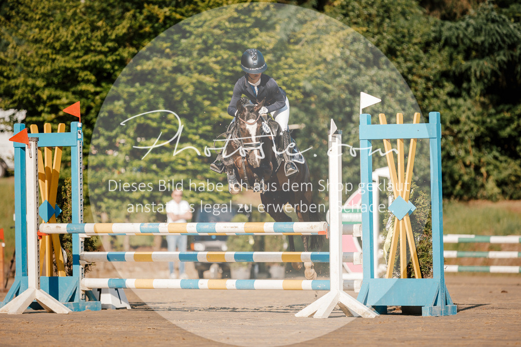 3I6A6124 | Stimmungsvolle Portraits und Reitsportfotografie im Ruhrgebiet und im Münsterland.

Pferdefotografie, Hundefotografie, Tierfotografie, Reportagen, Portraits von Tier und Mensch, Turnierfotografie in Bochum, Recklinghausen, Marl, Haltern am See, Dülmen.. - Realisiert mit Pictrs.com