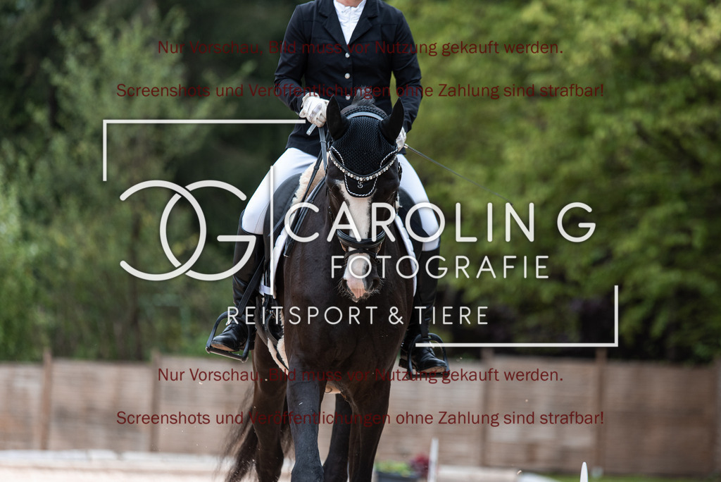 DSC_6731 | Turnierfotografin Carolin Gieschke,Reitsport Turnierfotografie Carolin G Fotografie | Turnierfotos aus Kirchheim/Teck, Esslingen, Stuttgart und dem Bodenseekreis
