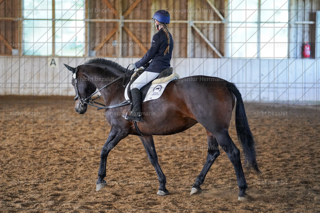 20230916-FAH08544 | Landsberg am Lech 2023, Turnierbildern, Turnierbilder Bayern, Reitsportfotograf, Pferdefotograf Bayern, Turnierfotos Landsberg, Fotoagentur Herrmann, Turnierfotografen Bayern