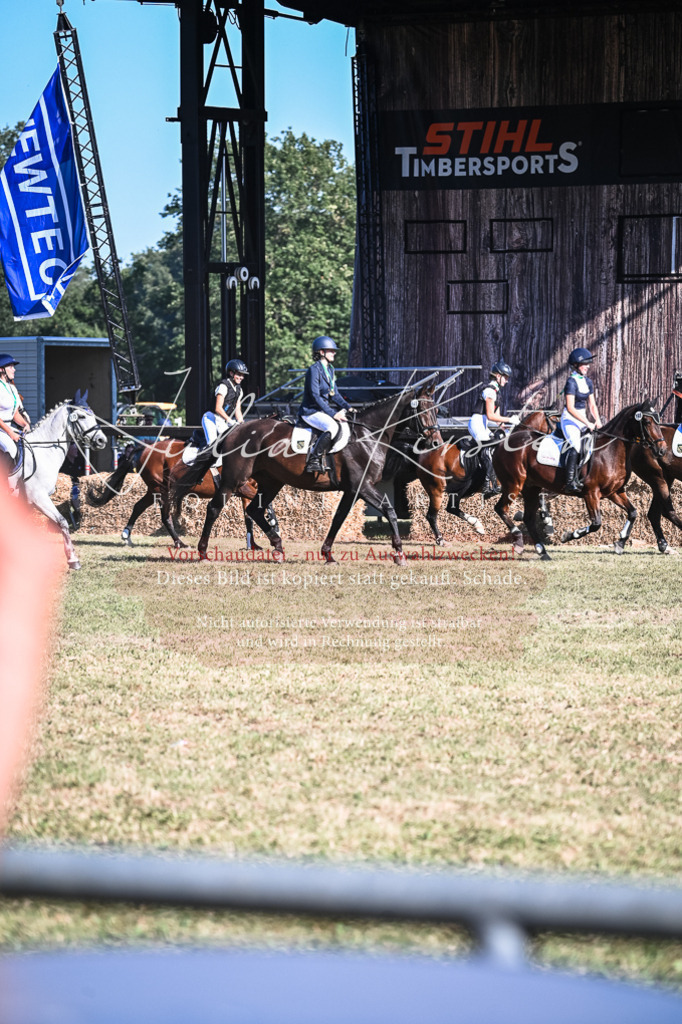 DSC_7148 | Pferde- und Turnierfotografie in Westsachsen. Pferdeportraits, Auftragszeichnungen und intuitive Kunst.