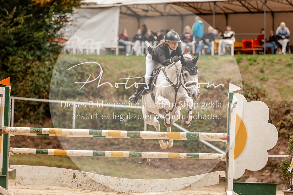 3I6A8026 | Stimmungsvolle Portraits und Reitsportfotografie im Ruhrgebiet und im Münsterland.

Pferdefotografie, Hundefotografie, Tierfotografie, Reportagen, Portraits von Tier und Mensch, Turnierfotografie in Bochum, Recklinghausen, Marl, Haltern am See, Dülmen.. - Realisiert mit Pictrs.com