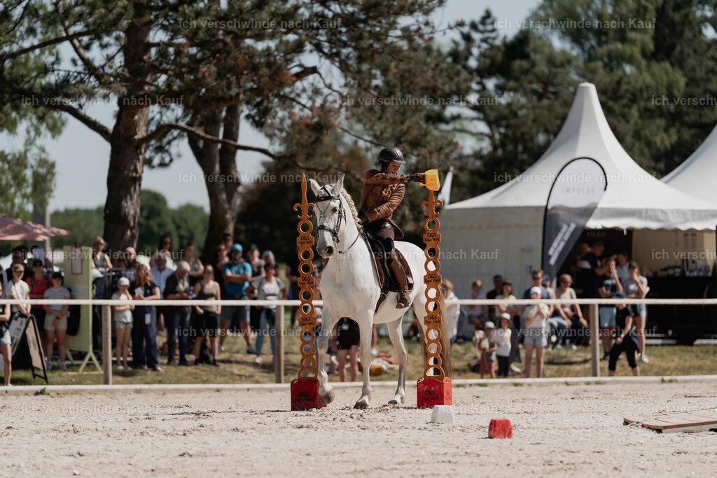 WE_SP_Stoib_347_PI2025_1551 | Pferd International München 2025