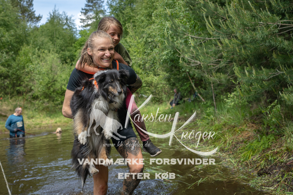 1254DKK993592 | kk-dogfotos