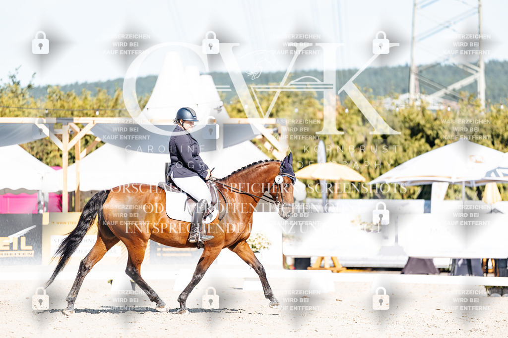 CK907941 | Turnierfotografie Pferdefotografie Trier Rheinland-Pfalz Pferdesport Reitsport Tierfotografie Sportfotografie Pferdevideo Pferdevideografie Equestrianvideography equestrianphotography  - Realisiert mit Pictrs.com