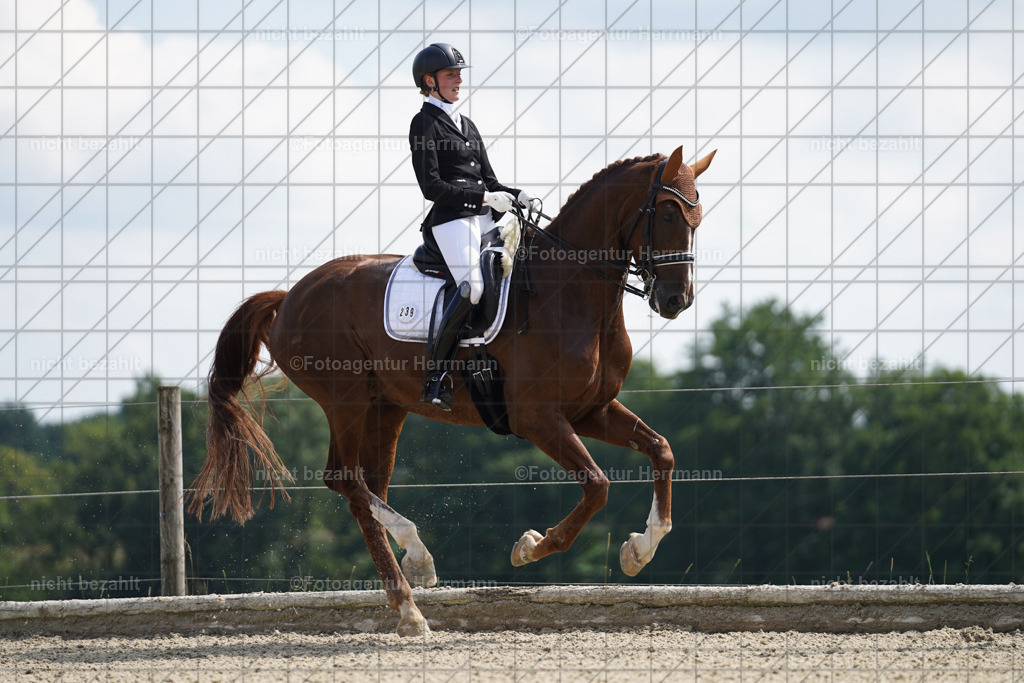 20230826-FAH05715 | Forstinning, 2023, Dressurturnier, Turniersportbilder, Turnierfotografen Bayern, Fotoagentur Herrmann, Reitsportfotografie, Turnierbilder