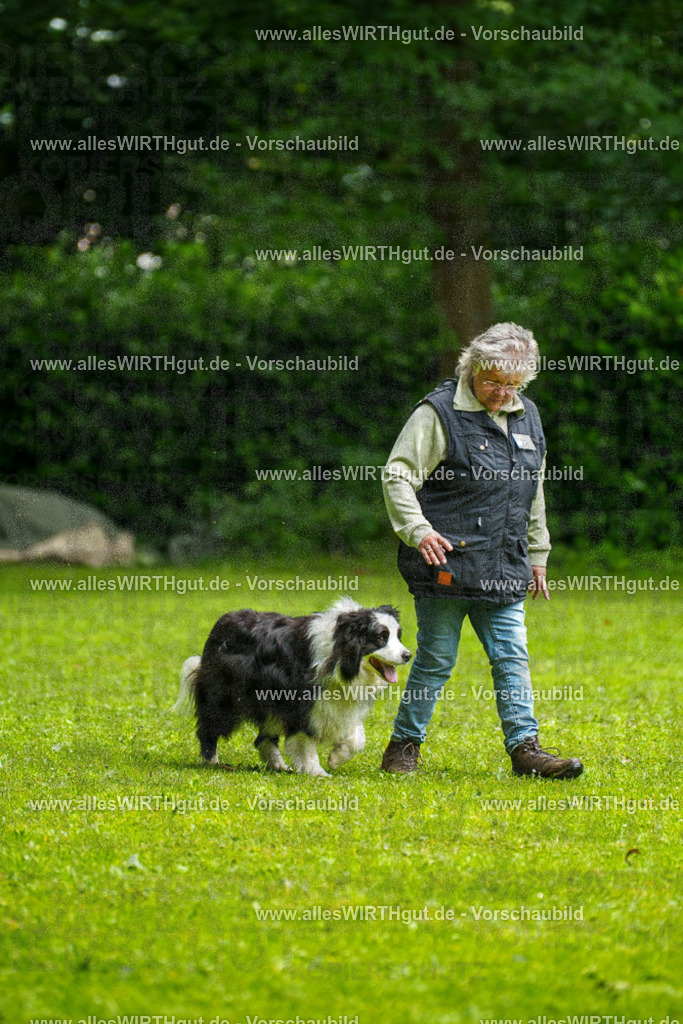 @allesWIRTHgut_Tierfotografie - www.allesWIRTHgut.de - 7R502676 | Professionelle Tierfotografie in Mönchengladbach von Daniel Wirth (allesWIRTHgut). Liebevolle & natürliche Bilder von Hunden & Katzen für unvergessliche Erinnerungen.