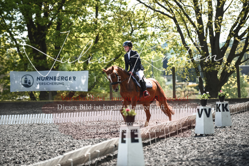 DSC_9056 | Pferde- und Turnierfotografie in Westsachsen. Pferdeportraits, Auftragszeichnungen und intuitive Kunst.