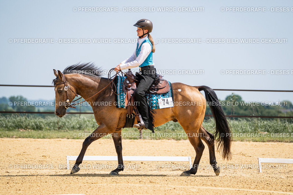 DSC00967 | Pferdegrafie