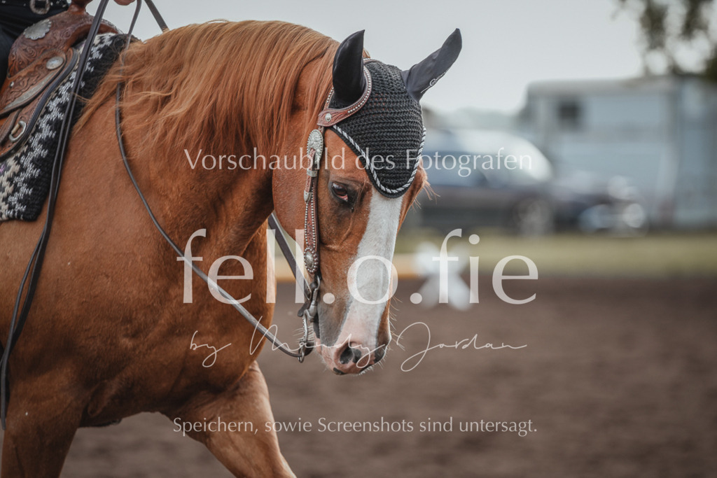 fell.o.fie_mandyjordan_2024_06_01498 | Mandy Klecke Fellfotografie, fell.o.fie Fotografenshop - Realisiert mit Pictrs.com