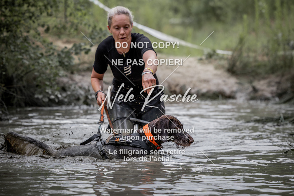 nelerasche_so0800-0930_346 | nelerasche