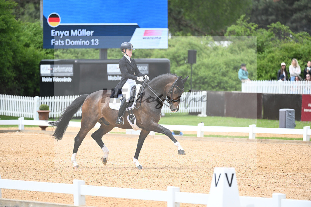 Mueller_Fats Domino_11233436 | hf-fotografie - Realisiert mit Pictrs.com