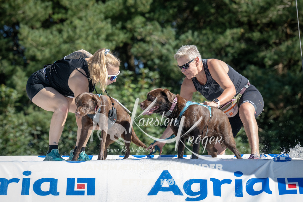 1142_ZZ93437 | kk-dogfotos