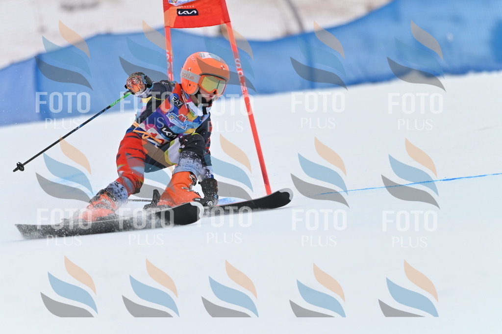 BGV_9330 | holidayphoto