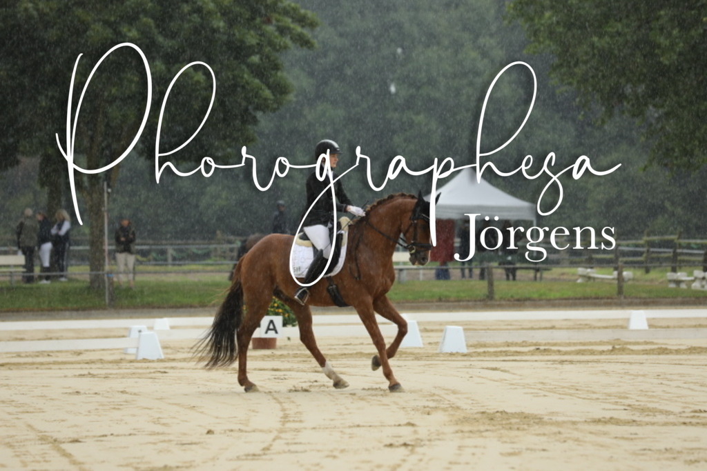 IMG_4708 | photographesa-joergens - Realisiert mit Pictrs.com