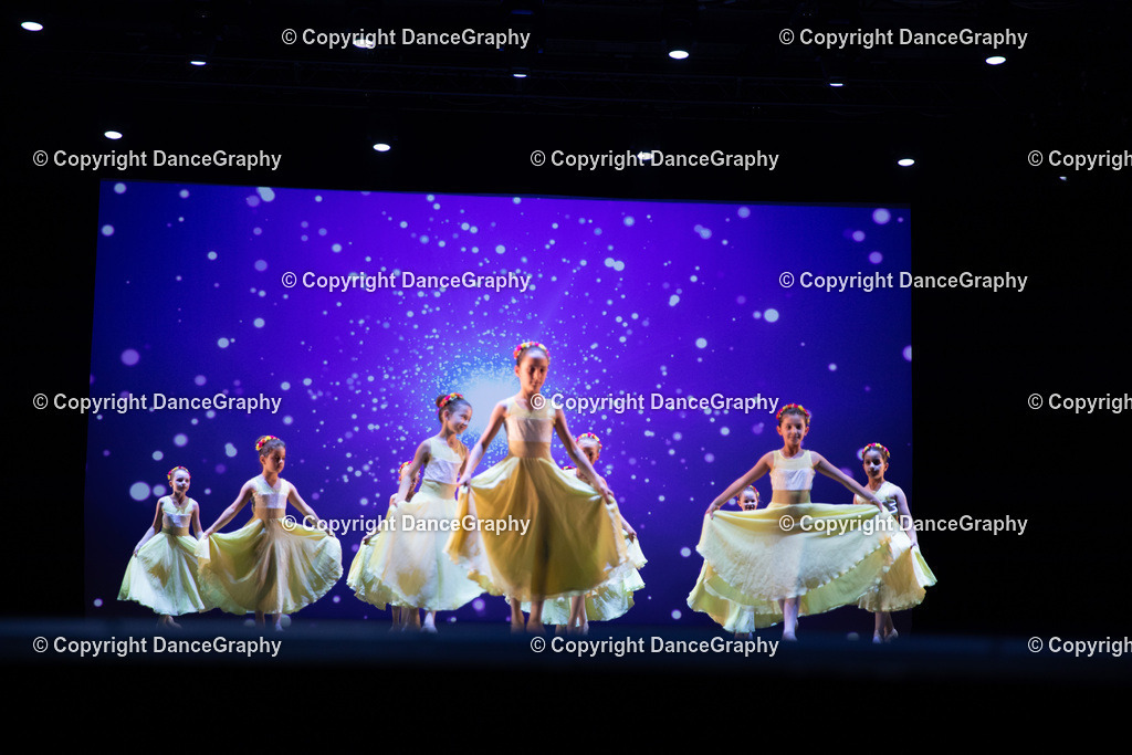 GPHY4717 | DanceGraphy - Realisiert mit Pictrs.com