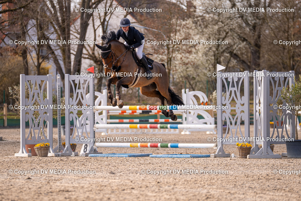 Kranichstein Tag 1-0976 | dv-media-shop - Realisiert mit Pictrs.com