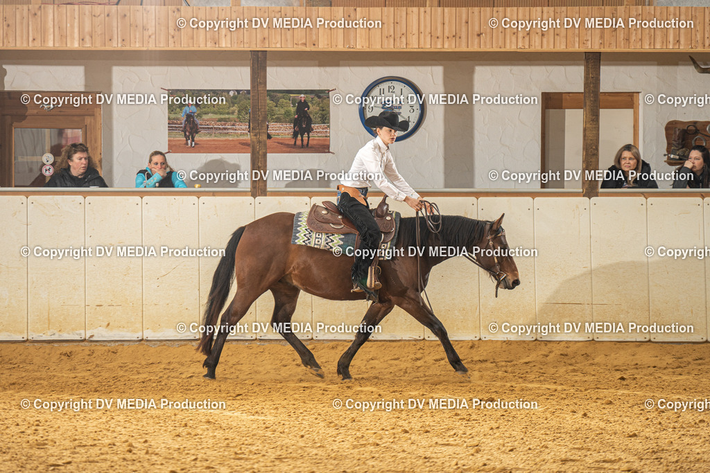 MIT00734 | dv-media-shop - Realisiert mit Pictrs.com