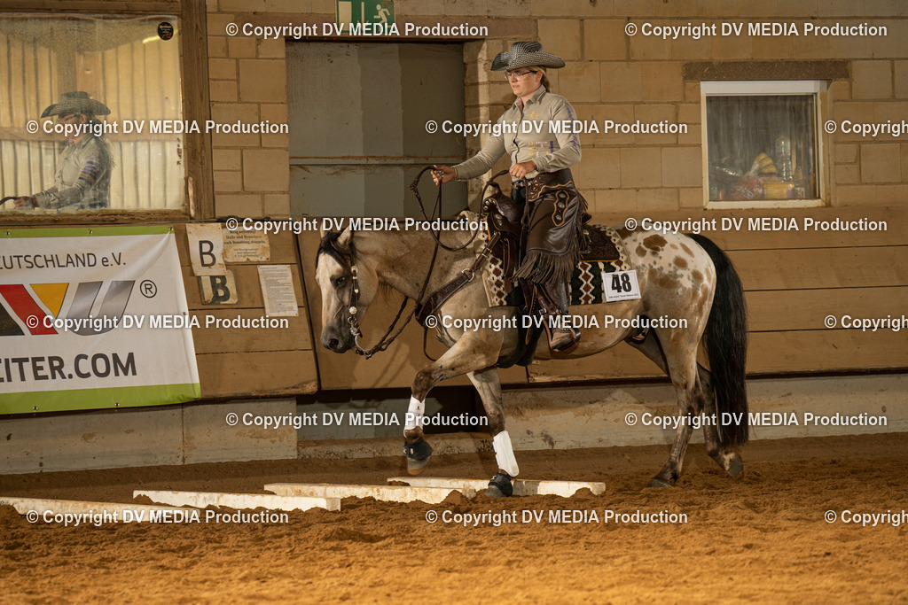 NID01668 | dv-media-shop - Realisiert mit Pictrs.com