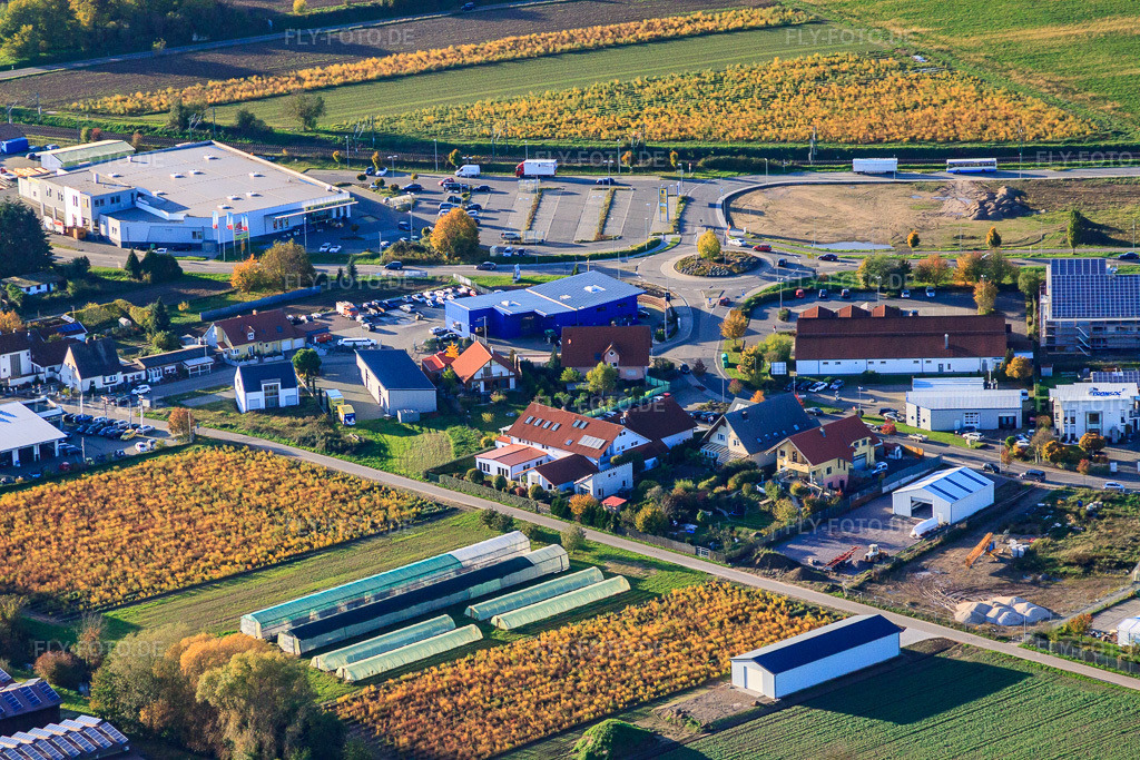 Luftbild: Gewerbegebiet Nordring mit Auto-Grün OHG in Rülzheim im Bundesland Rheinland-Pfalz in Deutschland. Foto: IMG_60522.jpg vom 24.10.2013 durch Werner Riehm/FLY-FOTO.de