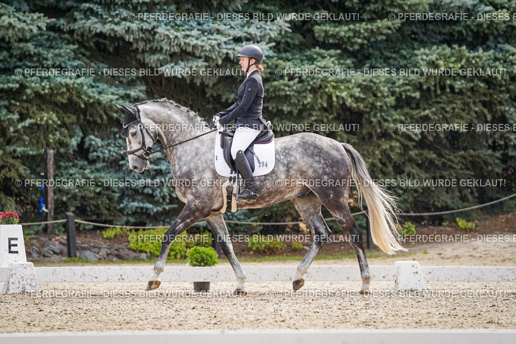 DSC07980 | Pferdegrafie