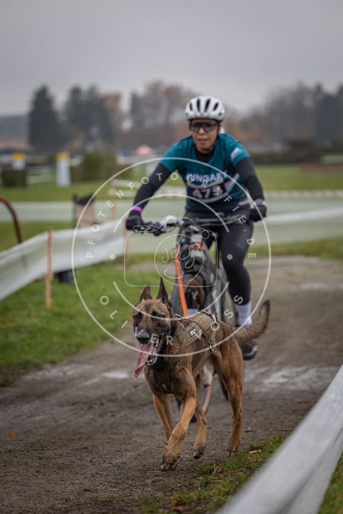 CaniXpix_0L8A1756 | Hundefotografie, Tierfotograf, Pfotenfotografie, Fotoshooting Hund, Hunde Portrait, Hundesport, Hundeportraits, Heideshooting, Hunde, Sportfotograf, Hundefotograf, Turnierhundsport, THS,  - Realisiert mit Pictrs.com