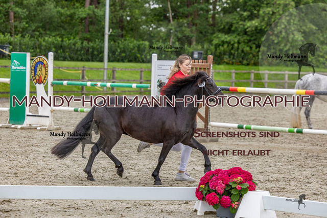 1 (32 von 76) | mandyhollmannphotographie