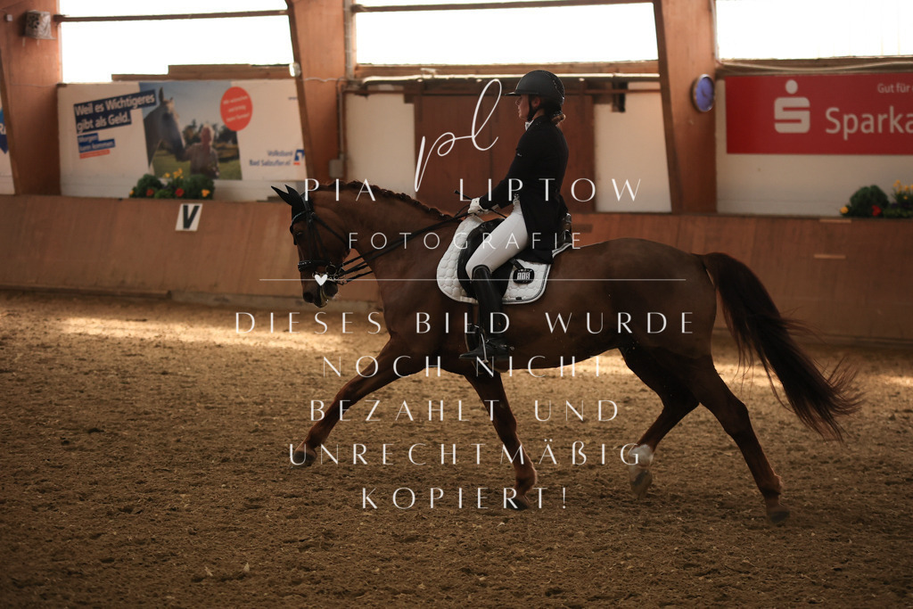 IMGT4741 | pl-fotografie