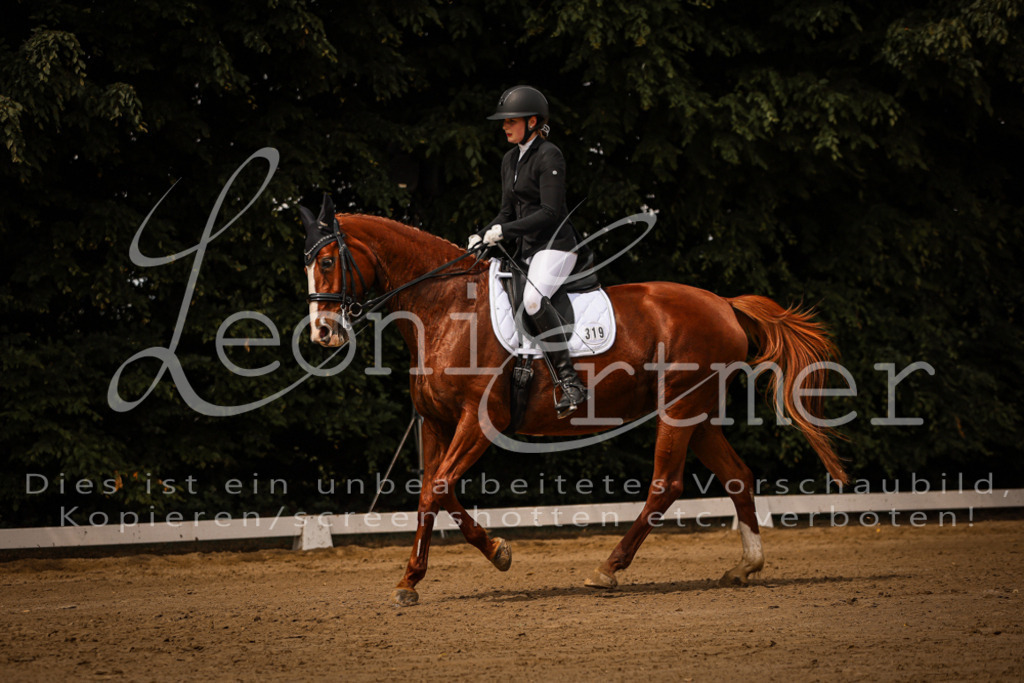 18.SoDrLK00275 | Leoni Ertmer Photography - Realisiert mit Pictrs.com