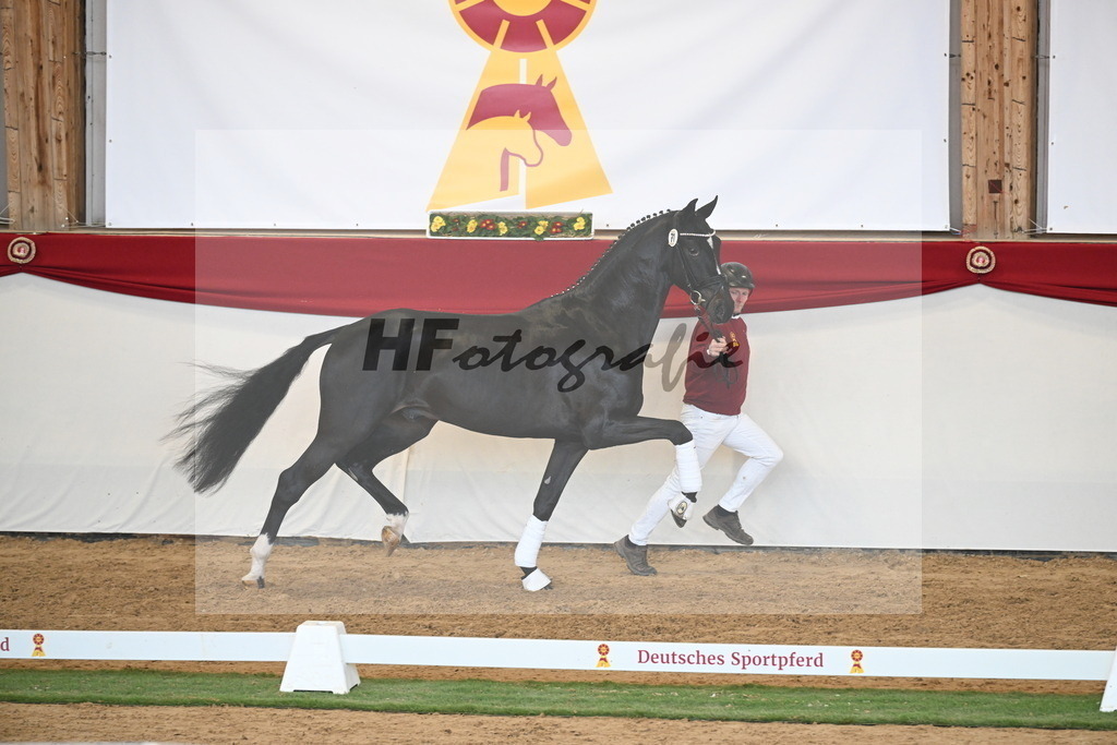 Kat.-Nr. 71 v. Jameson RS2_Greim_2250584 | hf-fotografie - Realisiert mit Pictrs.com