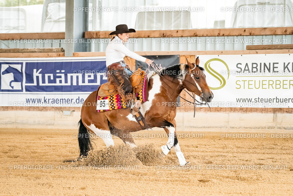 DSC01943 | Pferdegrafie