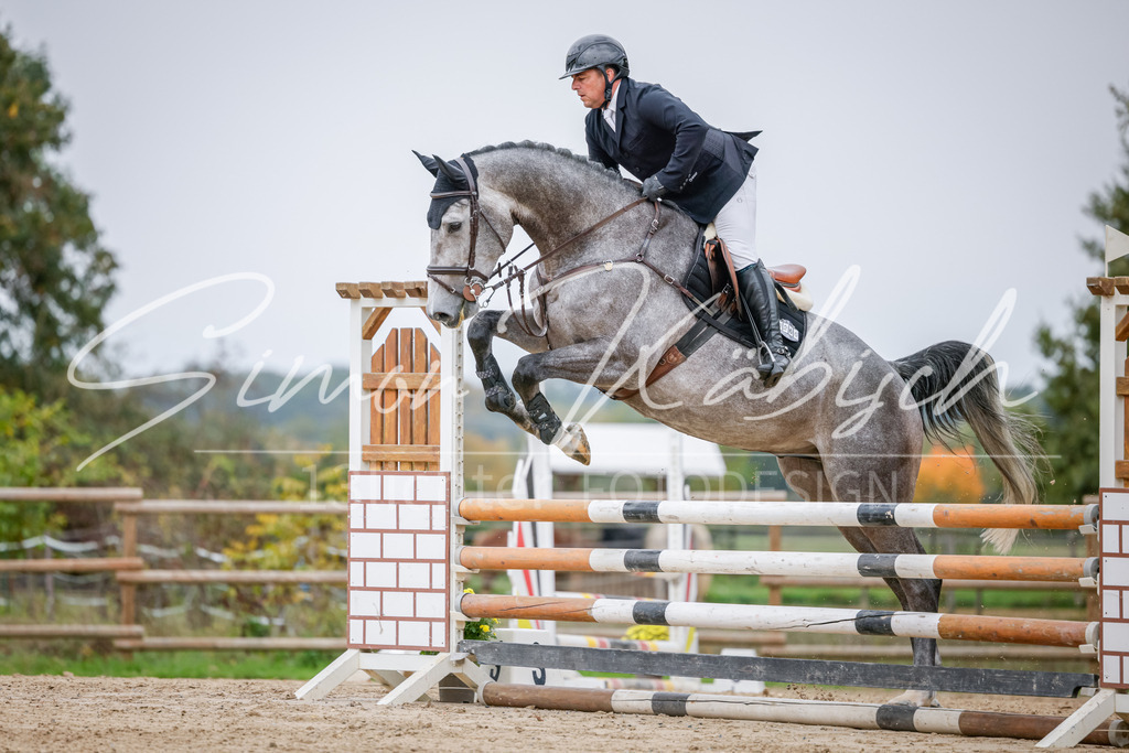 20251012-_3LI3676 | Tierfotografie Pferde, Hunde, Katzen, Haustiere.
Turnierfotografie Reitturniere, Reiten, Springreiten, Dressur in Hanau, dem Main-Kinzig-Kreis und dem Rhein-Main- Gebiet um Frankfurt