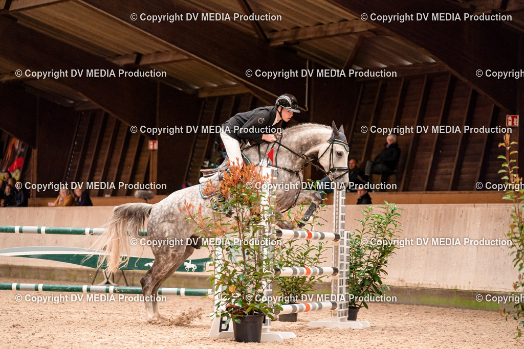 Springen Tag 1-451 | dv-media-shop - Realisiert mit Pictrs.com