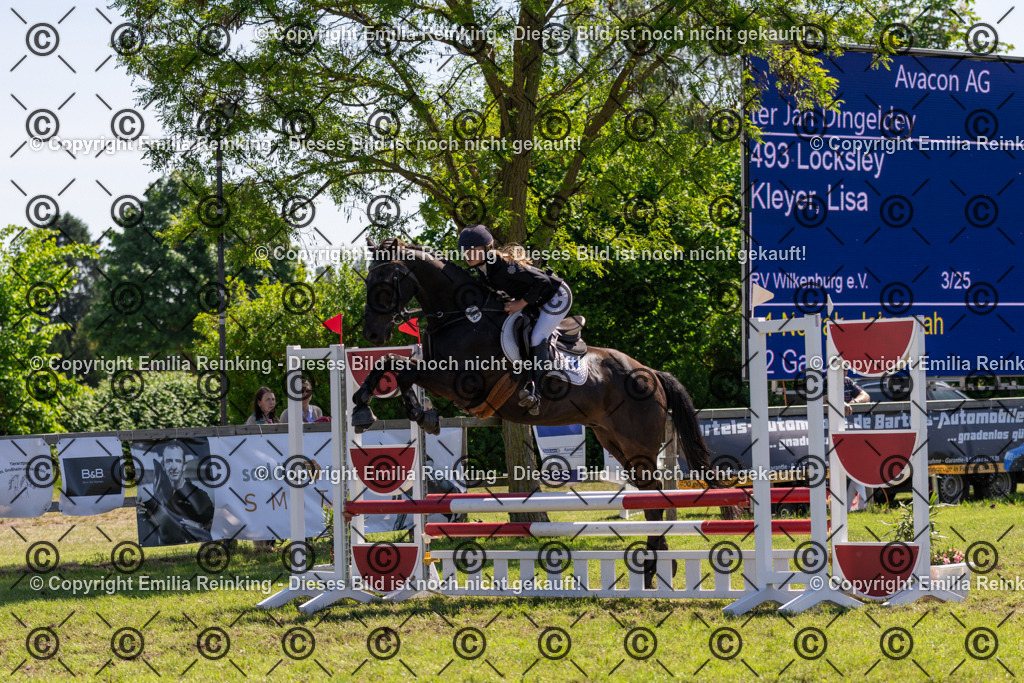 CL5A0879 | Emilia Reinking Fotografie - Realisiert mit Pictrs.com