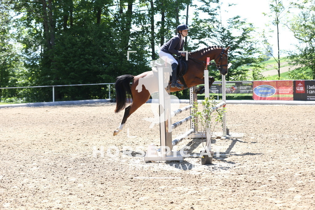 DL2Q1022 | Willkommen bei Brunnmayr - Design & Fotografie – Ihrem Spezialisten für Reitturniere und Pferdeveranstaltungen in Oberösterreich, Salzburg und Bayern! Seit über 17 Jahren sind wir leidenschaftlich dabei.