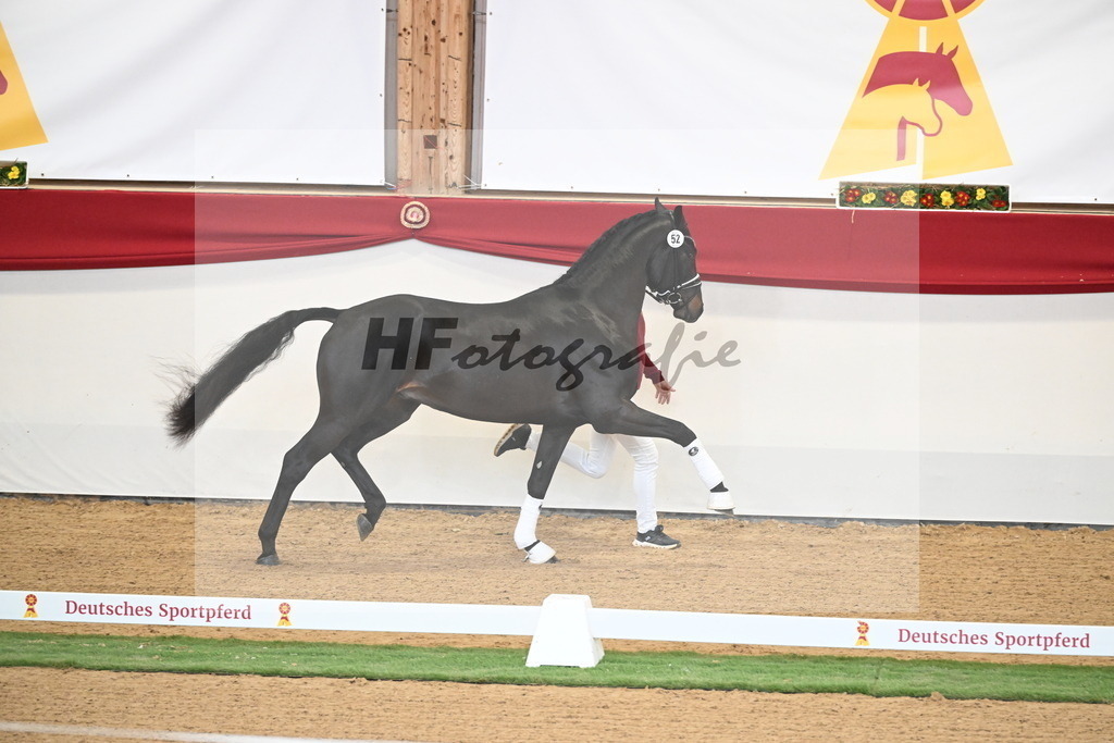 Kat.-Nr. 79 v. Taurus_Beckmann_2250352 | hf-fotografie - Realisiert mit Pictrs.com