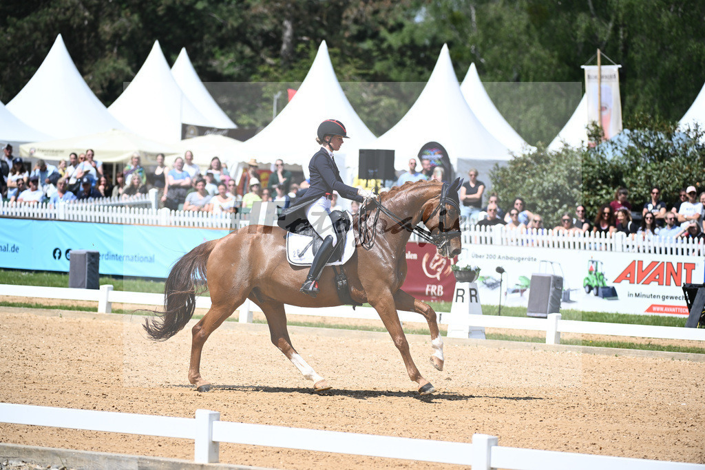 Baer_Superstar_12243731 | hf-fotografie - Realisiert mit Pictrs.com