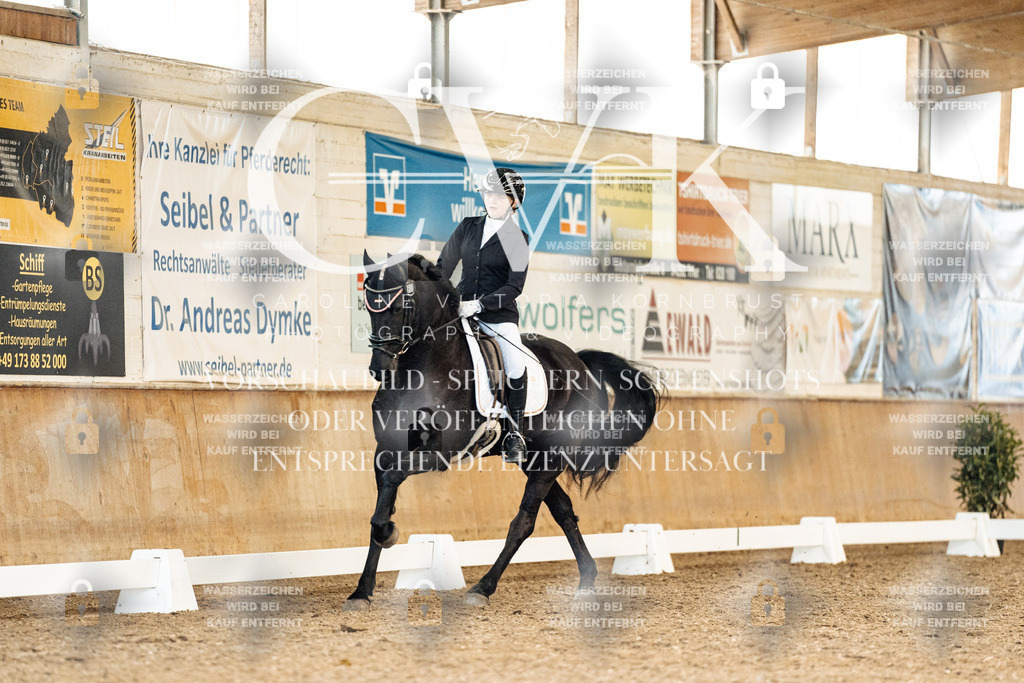CK909751 | Turnierfotografie Pferdefotografie Trier Rheinland-Pfalz Pferdesport Reitsport Tierfotografie Sportfotografie Pferdevideo Pferdevideografie Equestrianvideography equestrianphotography  - Realisiert mit Pictrs.com