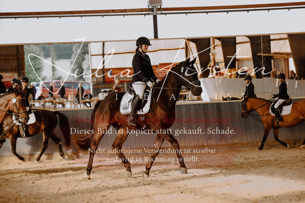 DSC_7554 | Pferde- und Turnierfotografie in Westsachsen. Pferdeportraits, Auftragszeichnungen und intuitive Kunst.